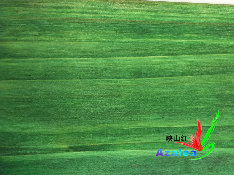 到底是什么在影响着水性色精的保色能力